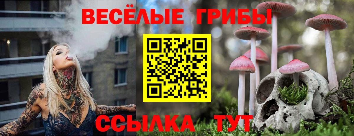 где продают   Галлюциногенные грибы MAGIC MUSHROOMS  Вход с VPN  Томск  Галлюциногенные грибы прущие грибы 